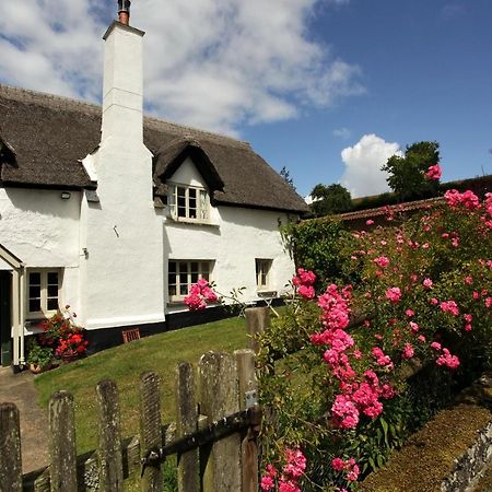 Brook Farmhouse Tedburn Exterior foto